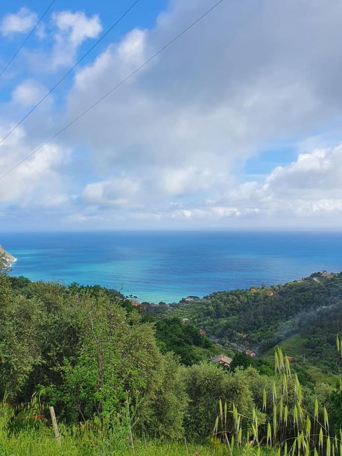 Ca Zelinda House Holiday Moneglia Εξωτερικό φωτογραφία