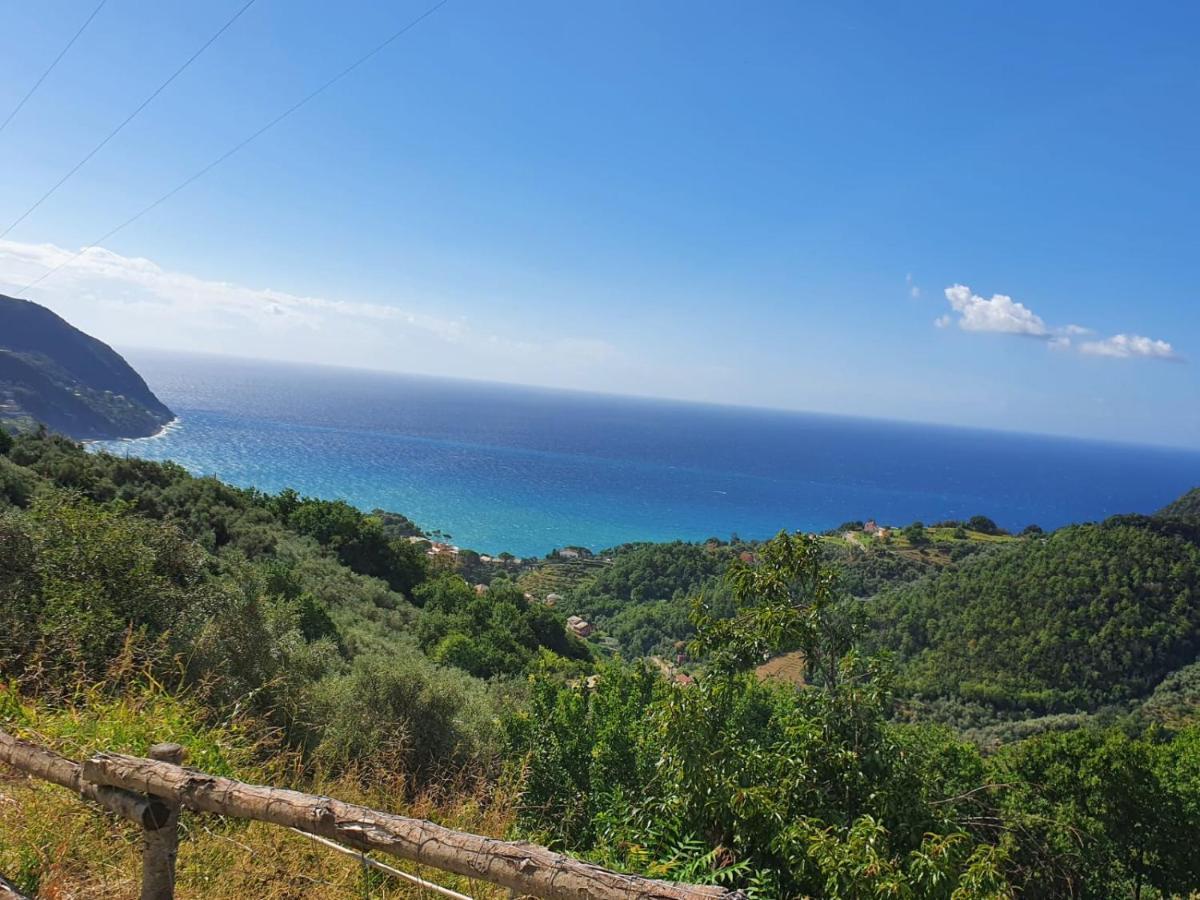 Ca Zelinda House Holiday Moneglia Εξωτερικό φωτογραφία