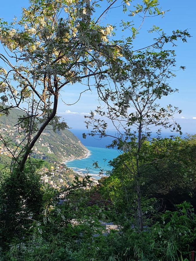 Ca Zelinda House Holiday Moneglia Εξωτερικό φωτογραφία