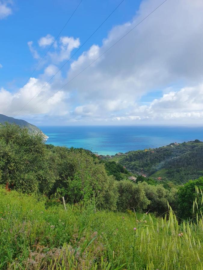 Ca Zelinda House Holiday Moneglia Εξωτερικό φωτογραφία