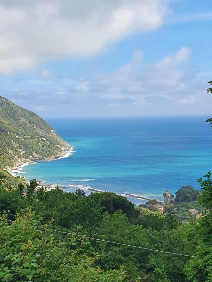 Ca Zelinda House Holiday Moneglia Εξωτερικό φωτογραφία